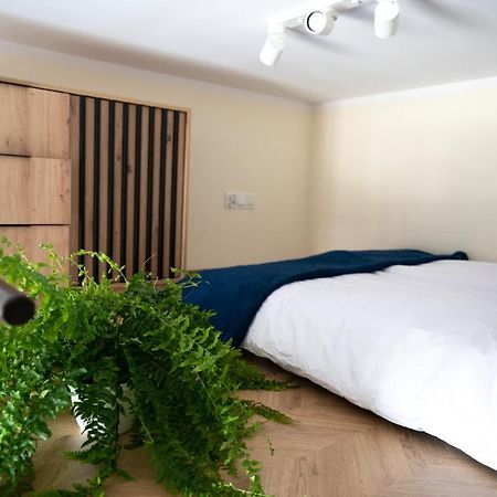 Citycenterapartment/Wrsz56 Katowice Luaran gambar